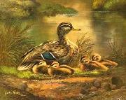 unknow artist Ducks 101 painting